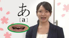 Japanese Hiragana and Katakana study course